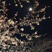 ヒメ日記 2025/04/05 20:44 投稿 にこ えすぽちゃーる