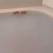 ヒメ日記 2025/04/16 02:54 投稿 にこ えすぽちゃーる