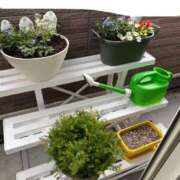 ヒメ日記 2025/04/25 08:14 投稿 にこ えすぽちゃーる