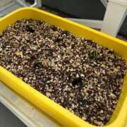 ヒメ日記 2025/04/30 15:14 投稿 にこ えすぽちゃーる