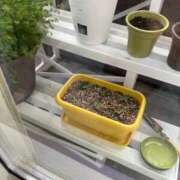 ヒメ日記 2025/05/02 14:01 投稿 にこ えすぽちゃーる