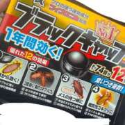 ヒメ日記 2025/05/02 16:45 投稿 にこ えすぽちゃーる