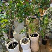 ヒメ日記 2025/05/04 20:05 投稿 にこ えすぽちゃーる