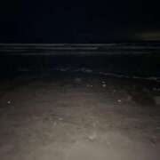 ヒメ日記 2025/05/05 02:00 投稿 にこ えすぽちゃーる