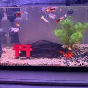 ヒメ日記 2025/05/06 00:14 投稿 にこ えすぽちゃーる