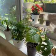 ヒメ日記 2025/05/20 11:57 投稿 にこ えすぽちゃーる