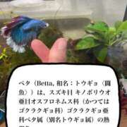 ヒメ日記 2025/05/21 11:19 投稿 にこ えすぽちゃーる