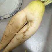 ヒメ日記 2025/06/07 12:11 投稿 にこ えすぽちゃーる