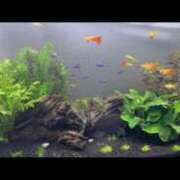 ヒメ日記 2025/06/26 13:07 投稿 にこ えすぽちゃーる