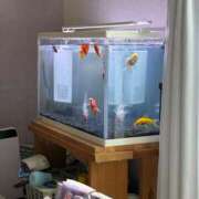 ヒメ日記 2025/06/29 10:11 投稿 にこ えすぽちゃーる