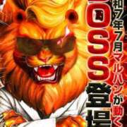 ヒメ日記 2025/07/07 09:26 投稿 にこ えすぽちゃーる