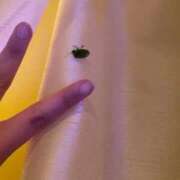 ヒメ日記 2025/07/08 06:54 投稿 にこ えすぽちゃーる