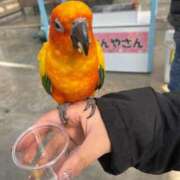 ヒメ日記 2025/07/08 14:26 投稿 にこ えすぽちゃーる