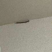 ヒメ日記 2025/07/11 11:35 投稿 にこ えすぽちゃーる