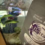 ヒメ日記 2025/07/13 17:44 投稿 にこ えすぽちゃーる