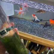 ヒメ日記 2025/07/14 06:57 投稿 にこ えすぽちゃーる