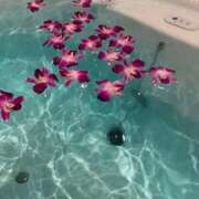 ヒメ日記 2025/07/15 07:02 投稿 にこ えすぽちゃーる