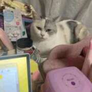 ヒメ日記 2025/07/18 12:04 投稿 にこ えすぽちゃーる