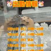 ヒメ日記 2025/07/22 07:30 投稿 にこ えすぽちゃーる