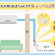 ヒメ日記 2025/08/01 00:16 投稿 にこ えすぽちゃーる