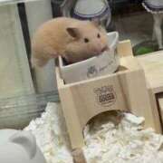 ヒメ日記 2025/08/02 20:44 投稿 にこ えすぽちゃーる