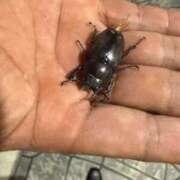 ヒメ日記 2025/08/04 21:16 投稿 にこ えすぽちゃーる