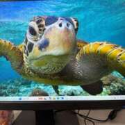 ヒメ日記 2025/08/05 09:09 投稿 にこ えすぽちゃーる