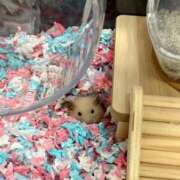 ヒメ日記 2025/08/07 20:20 投稿 にこ えすぽちゃーる