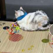 ヒメ日記 2025/08/13 22:40 投稿 にこ えすぽちゃーる