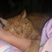 ヒメ日記 2025/08/21 14:38 投稿 にこ えすぽちゃーる