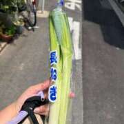 ヒメ日記 2025/09/05 08:38 投稿 にこ えすぽちゃーる