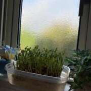 ヒメ日記 2025/09/05 17:18 投稿 にこ えすぽちゃーる