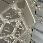 ヒメ日記 2025/09/09 12:58 投稿 にこ えすぽちゃーる