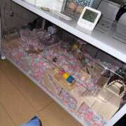 ヒメ日記 2025/09/12 00:13 投稿 にこ えすぽちゃーる