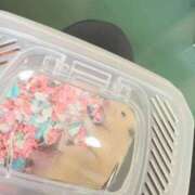 ヒメ日記 2025/09/14 10:24 投稿 にこ えすぽちゃーる