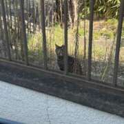 ヒメ日記 2025/09/25 18:21 投稿 にこ えすぽちゃーる