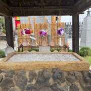 ヒメ日記 2025/10/19 16:01 投稿 にこ えすぽちゃーる