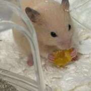 ヒメ日記 2025/10/20 11:44 投稿 にこ えすぽちゃーる