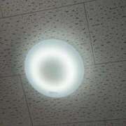 ヒメ日記 2025/10/30 15:01 投稿 にこ えすぽちゃーる