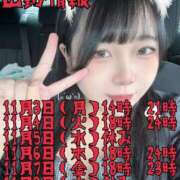 ヒメ日記 2025/11/02 17:39 投稿 にこ えすぽちゃーる