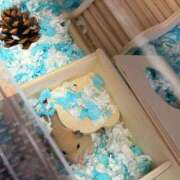 ヒメ日記 2025/11/04 20:27 投稿 にこ えすぽちゃーる