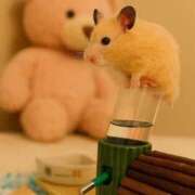 ヒメ日記 2025/11/11 12:16 投稿 にこ えすぽちゃーる