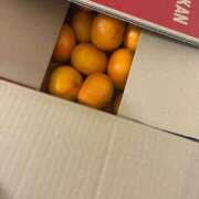 ヒメ日記 2025/11/17 00:01 投稿 にこ えすぽちゃーる