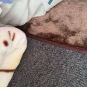 ヒメ日記 2025/11/20 12:39 投稿 にこ えすぽちゃーる