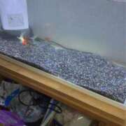 ヒメ日記 2025/12/01 18:17 投稿 にこ えすぽちゃーる