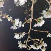 ヒメ日記 2025/03/27 23:40 投稿 かほ 熟女の風俗最終章 町田店