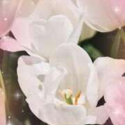 ヒメ日記 2026/03/08 23:50 投稿 かほ 熟女の風俗最終章 町田店