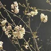 ヒメ日記 2026/03/29 22:40 投稿 かほ 熟女の風俗最終章 町田店