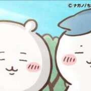 ヒメ日記 2025/11/22 00:03 投稿 ゆうな先生 DANDY BODY