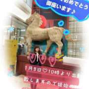 ヒメ日記 2026/01/02 23:33 投稿 せりな 熟女の風俗最終章 新潟店